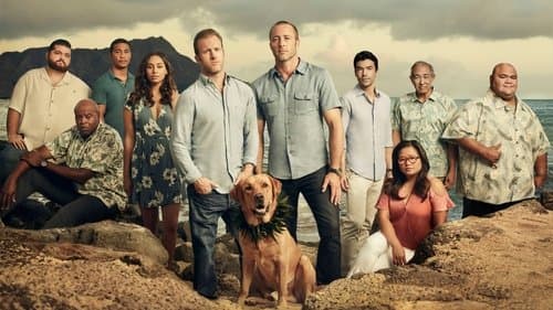 Hawaii Five-0 Bild 1
