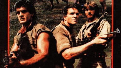 Afghanistan Connection Bild 1