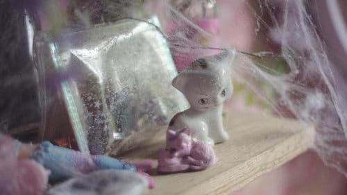 Girl in the Shed Bild 1