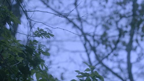 Antes De Que Se Riegue La Leche Bild 2