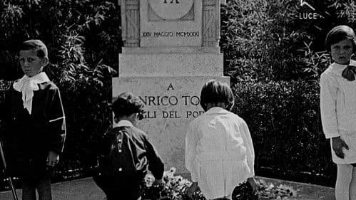 Africa bianca Bild 1