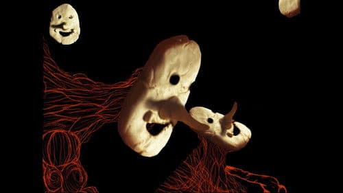 Monkey Man Tells a Joke Bild 3