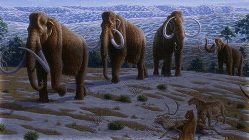 Wildes Amerika - Zeugen der Eiszeit Bild 3