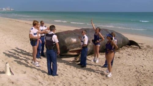 Reno 911! - Miami Bild 2