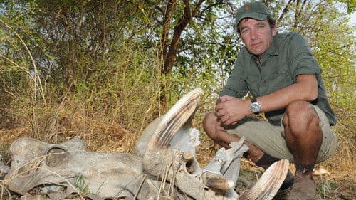 Hippo: Wild Feast Live Bild 1