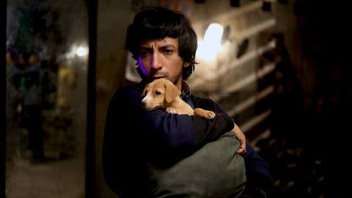 लकड़बग्घा Bild 2