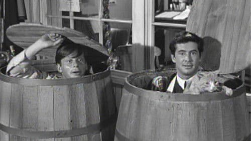 The Matchmaker Bild 5