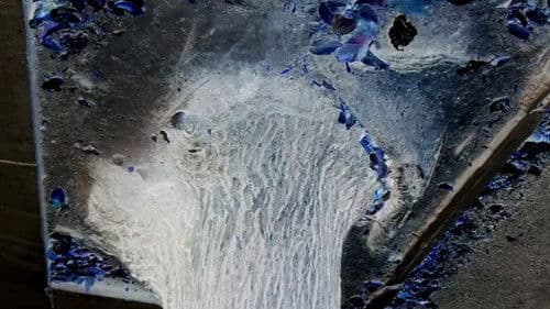 PAPPY SEES 3D, TOO Bild 1