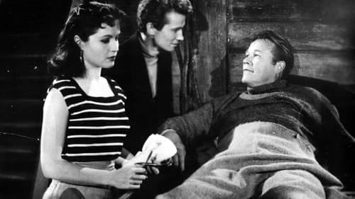 Cross Channel Bild 1