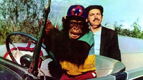 Betão Ronca Ferro Bild 1