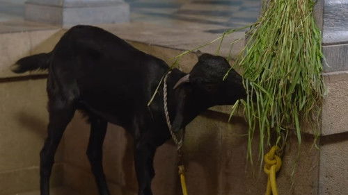 भारत माझा देश आहे Bild 1