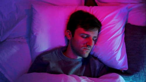 Meet Frank (or Perfect Sunset Man) Bild 3