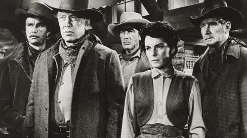 Johnny Guitar - Wenn Frauen hassen Bild 7