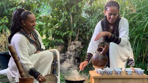 Kaffee - Geheimnisse eines Wundertranks Bild 1