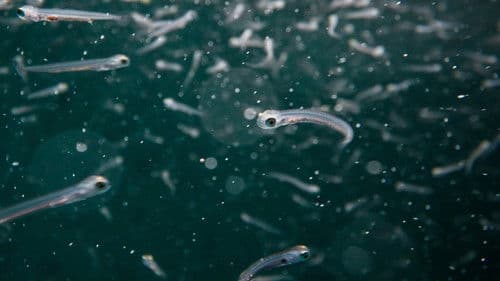 All Too Clear Bild 5