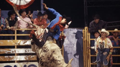 8 Seconds - Tödlicher Ehrgeiz Bild 4