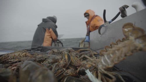 La course folle Bild 4