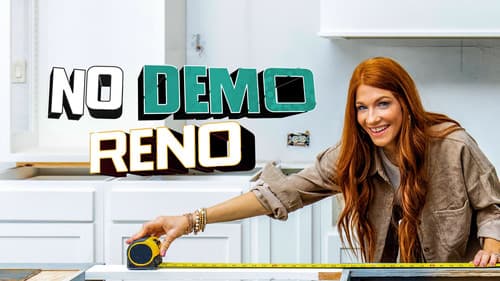 No Demo Reno Bild 4