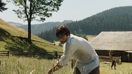 Schatten eines heißen Sommers Bild 1