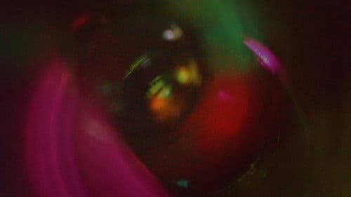 Meet Frank (or Perfect Sunset Man) Bild 4