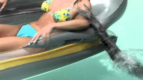 Savage Spirit Bild 2