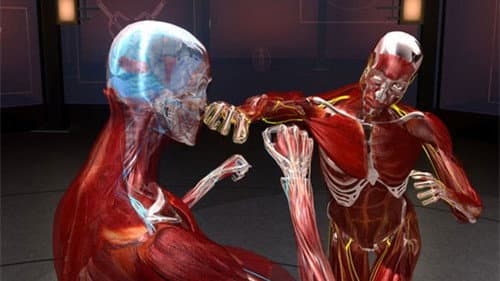 Fight Science Bild 1