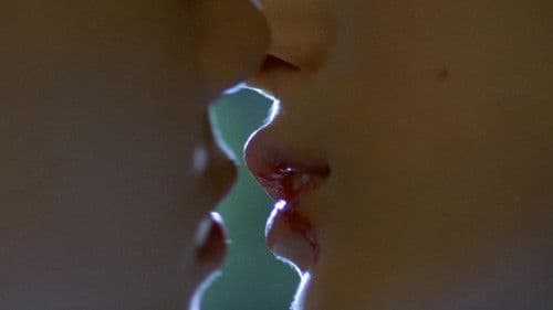 Memento Mori - Gedenke des Todes Bild 6