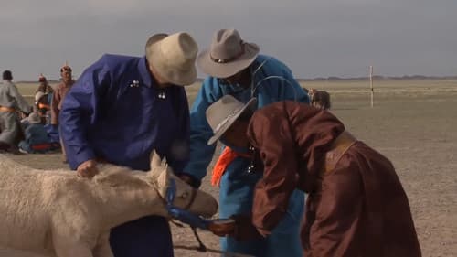 Үхэл амьдралын заагт Bild 8