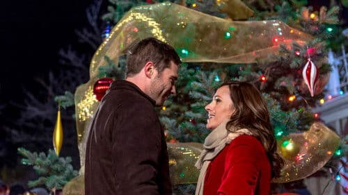 Hilfe, ich habe Weihnachten geerbt Bild 6