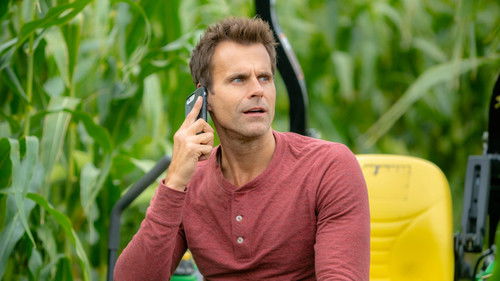 Love, of Course Bild 6