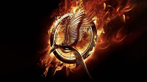 Die Tribute von Panem - Catching Fire Bild 4