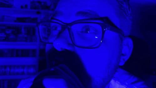 Lukas Weinandy: Mimikry Bild 2