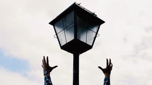 Melodies of a Mute Life Bild 2