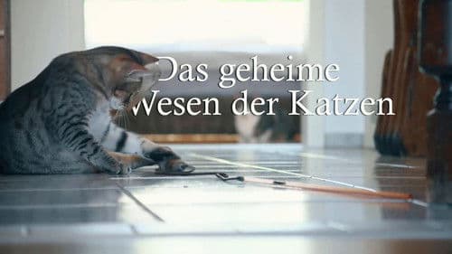 Das geheime Wesen der Katzen Bild 3