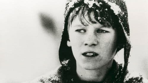 Der Navigator Bild 6