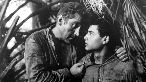 The Young Don't Cry Bild 1