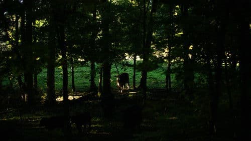 The Human Hibernation Bild 8