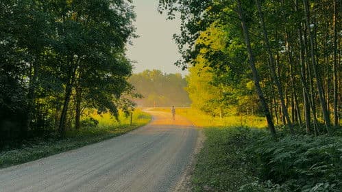 Latvijas Izmeklētāji Bild 6