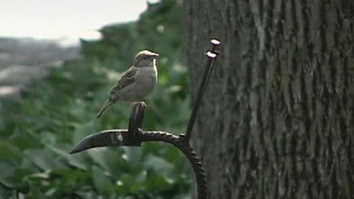 Quietly On By Bild 3