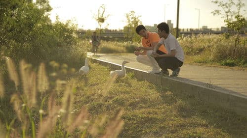 걱정말아요 Bild 4