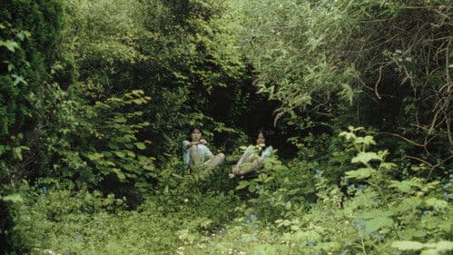 My Sister Is a Butterfly Bild 1