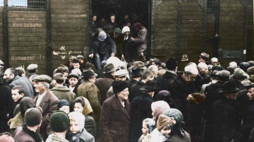 Auschwitz Untold: In Colour Bild 4