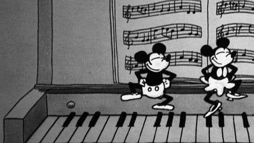 Ist die Katze aus dem Haus ... Bild 3