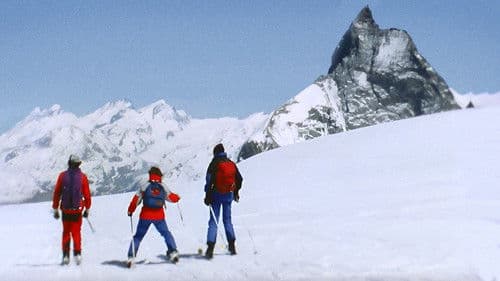 Je Veux Le Soleil Debout Bild 3