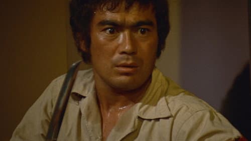 けんか空手 極真拳 Bild 1