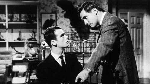 Der Zwang zum Bösen Bild 2