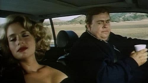 Cannonball-Fieber  - Auf dem Highway geht’s erst richtig los Bild 3