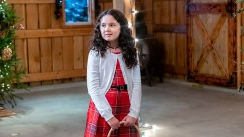 Weihnachten in Blue Ridge Mountain Bild 7