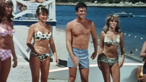 A Swingin' Summer Bild 3