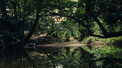 buen vivir – ñutse canseye Bild 2